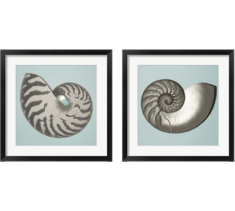 Noir Shell on Teal 2 Piece Framed Art Print Set by Jairo Rodriguez