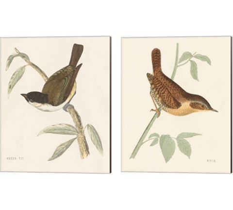 Engraved Birds 2 Piece Canvas Print Set by Wild Apple Portfolio