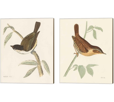Engraved Birds 2 Piece Canvas Print Set by Wild Apple Portfolio