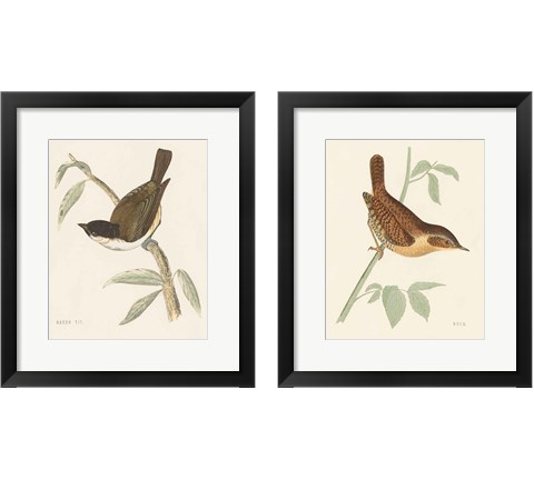 Engraved Birds 2 Piece Framed Art Print Set by Wild Apple Portfolio