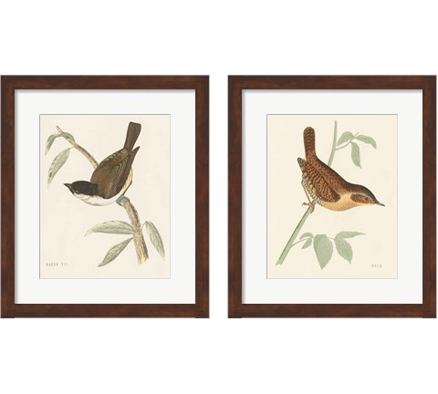 Engraved Birds 2 Piece Framed Art Print Set by Wild Apple Portfolio