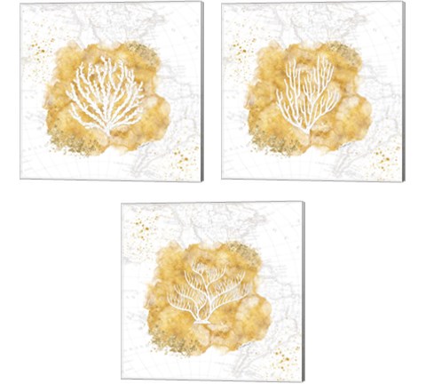 Golden Coral 3 Piece Canvas Print Set by Jennifer Pugh