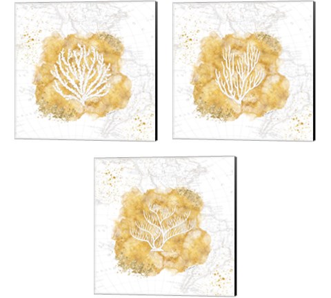Golden Coral 3 Piece Canvas Print Set by Jennifer Pugh