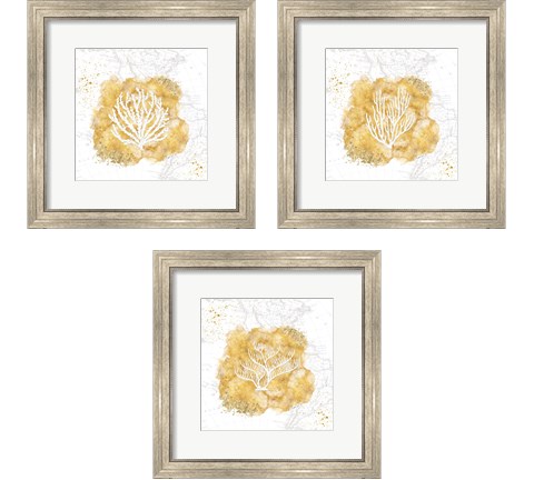 Golden Coral 3 Piece Framed Art Print Set by Jennifer Pugh
