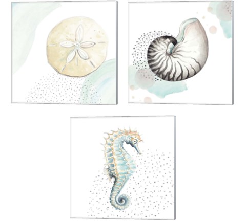 Turquoise Sea Life 3 Piece Canvas Print Set by Patricia Pinto
