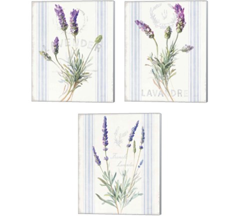 Floursack Lavender 3 Piece Canvas Print Set by Danhui Nai