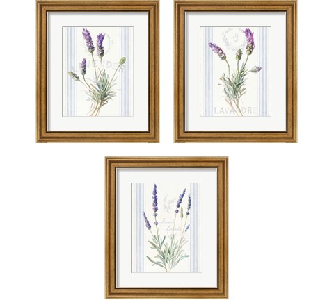 Floursack Lavender 3 Piece Framed Art Print Set by Danhui Nai