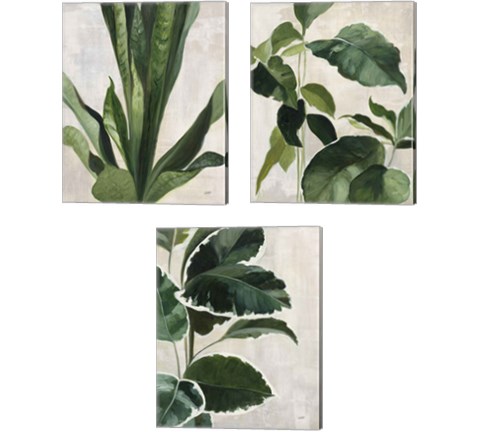 Tropical Study 3 Piece Canvas Print Set by Julia Purinton