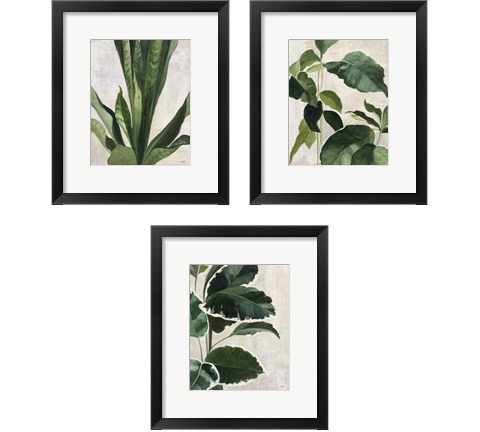 Tropical Study 3 Piece Framed Art Print Set by Julia Purinton