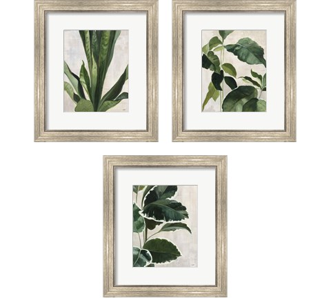 Tropical Study 3 Piece Framed Art Print Set by Julia Purinton