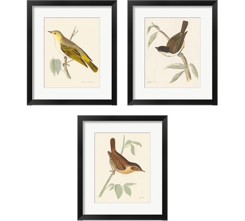 Engraved Birds 3 Piece Framed Art Print Set by Wild Apple Portfolio