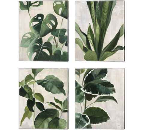 Tropical Study 4 Piece Canvas Print Set by Julia Purinton
