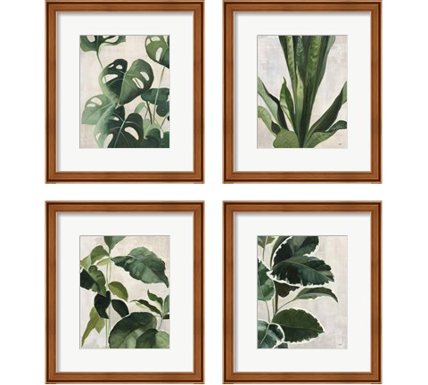 Tropical Study 4 Piece Framed Art Print Set by Julia Purinton