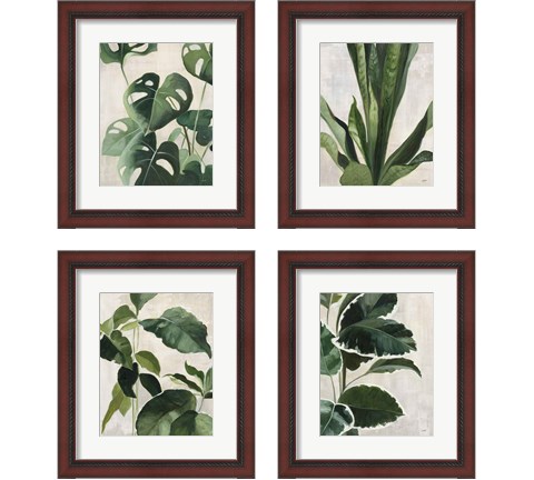 Tropical Study 4 Piece Framed Art Print Set by Julia Purinton