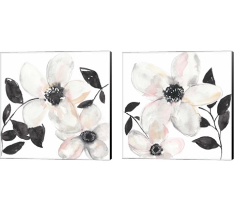 Black & Blush Anemone 2 Piece Canvas Print Set by Jennifer Goldberger