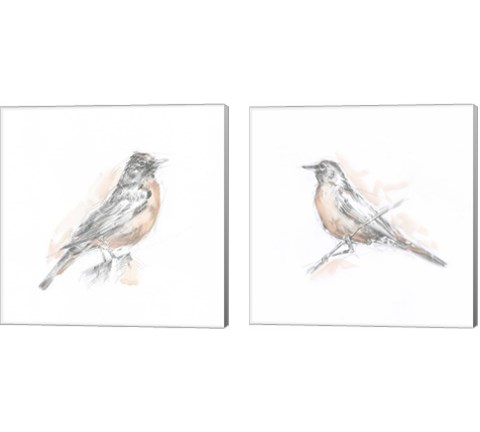 Robin Bird Sketch 2 Piece Canvas Print Set by Ethan Harper