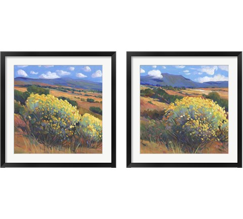 Chamisa 2 Piece Framed Art Print Set by Timothy O'Toole