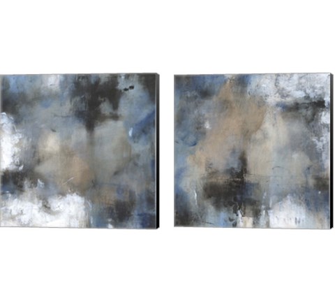 Shifting Motion 2 Piece Canvas Print Set by Timothy O'Toole