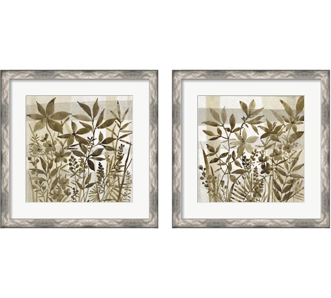 Neutral Garden 2 Piece Framed Art Print Set by Timothy O'Toole