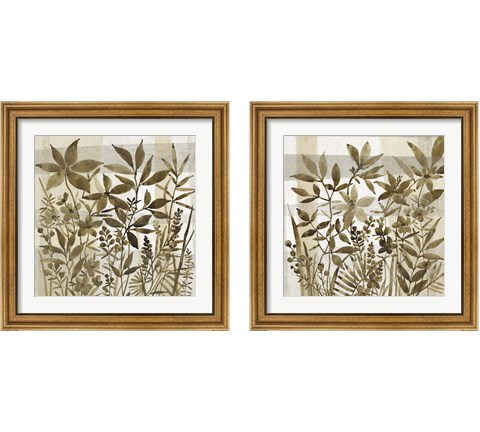 Neutral Garden 2 Piece Framed Art Print Set by Timothy O'Toole
