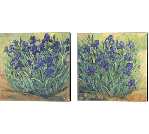 Irises in Bloom 2 Piece Canvas Print Set by Timothy O'Toole