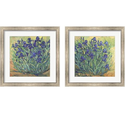 Irises in Bloom 2 Piece Framed Art Print Set by Timothy O'Toole