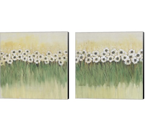 Rows of Flowers 2 Piece Canvas Print Set by Timothy O'Toole