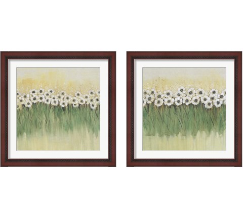 Rows of Flowers 2 Piece Framed Art Print Set by Timothy O'Toole