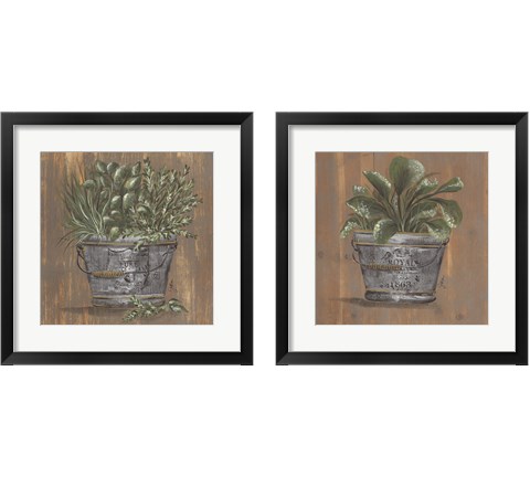 Plant in Pail 2 Piece Framed Art Print Set by Julie Norkus