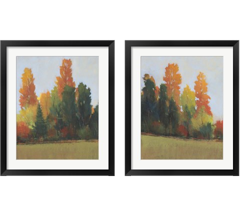 Fall Colors 2 Piece Framed Art Print Set by Timothy O'Toole