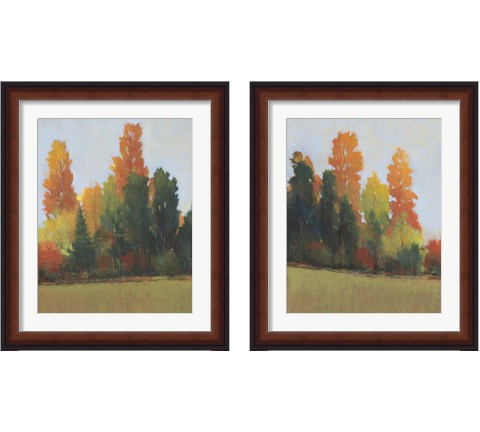 Fall Colors 2 Piece Framed Art Print Set by Timothy O'Toole