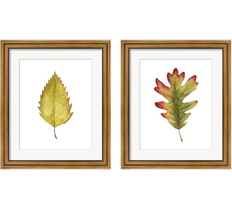 Fall Leaf Study 2 Piece Framed Art Print Set by Grace Popp