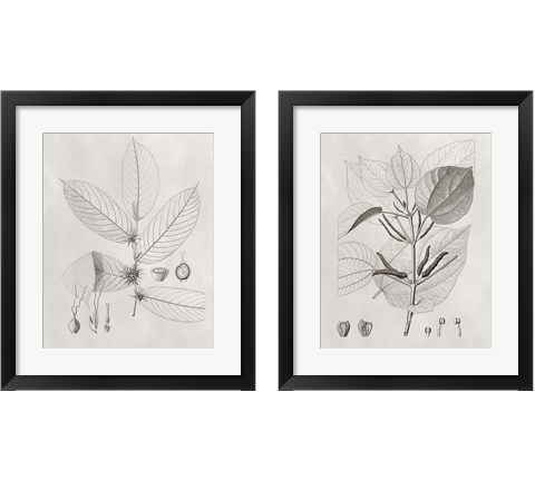 Vintage Leaves 2 Piece Framed Art Print Set by Vision Studio