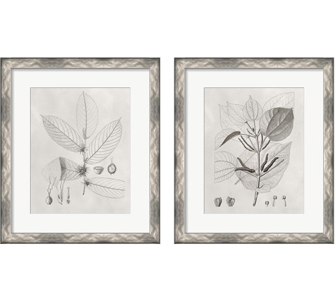 Vintage Leaves 2 Piece Framed Art Print Set by Vision Studio