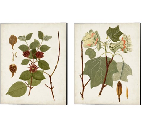 Antique Leaves 2 Piece Canvas Print Set