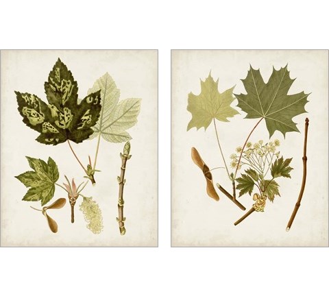 Antique Leaves 2 Piece Art Print Set