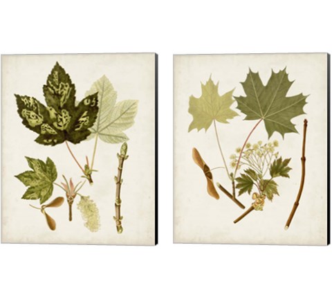 Antique Leaves 2 Piece Canvas Print Set