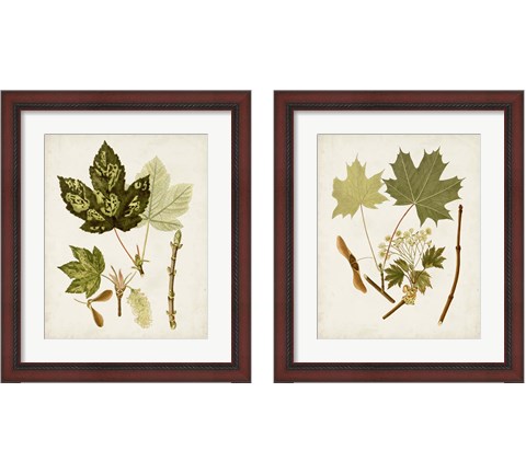 Antique Leaves 2 Piece Framed Art Print Set