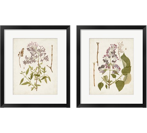 Vintage Flowering Trees 2 Piece Framed Art Print Set