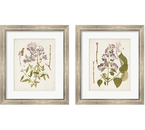 Vintage Flowering Trees 2 Piece Framed Art Print Set