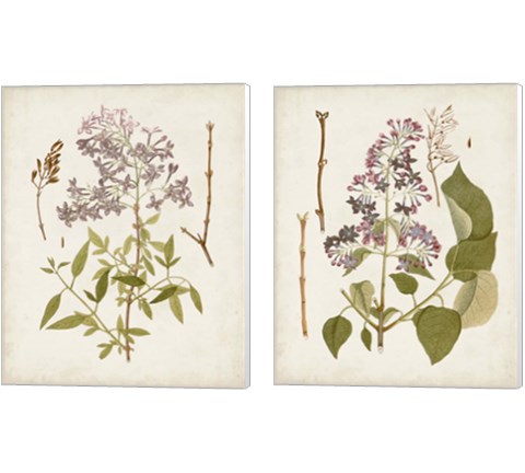 Vintage Flowering Trees 2 Piece Canvas Print Set