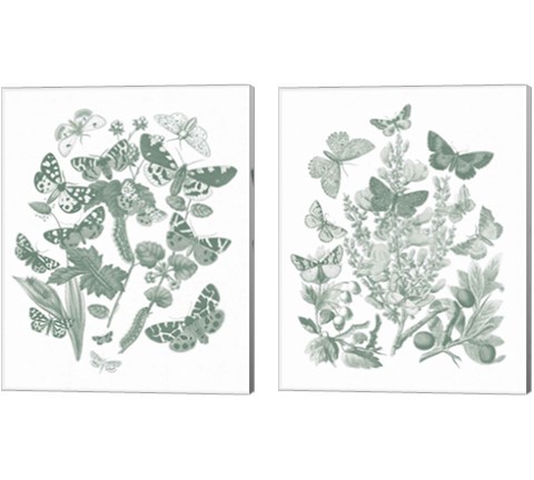 Butterfly Bouquet Sage 2 Piece Canvas Print Set by Wild Apple Portfolio