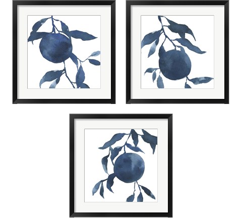 Indigo Oranges 3 Piece Framed Art Print Set by Emma Caroline