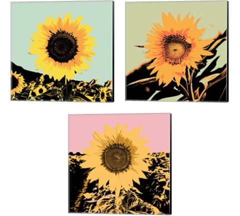 Pop Art Sunflower 3 Piece Canvas Print Set by Jacob Green