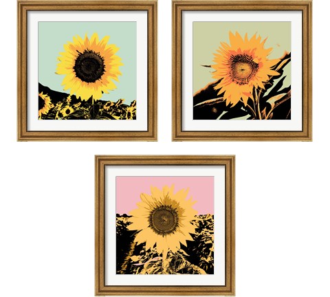 Pop Art Sunflower 3 Piece Framed Art Print Set by Jacob Green