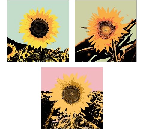 Pop Art Sunflower 3 Piece Art Print Set by Jacob Green