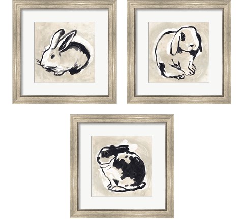 Antique Rabbit 3 Piece Framed Art Print Set by June Erica Vess