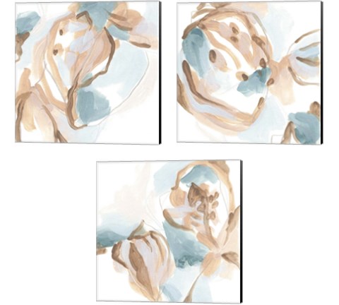 Abstracted Shells 3 Piece Canvas Print Set by June Erica Vess