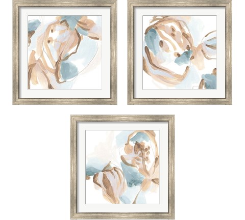 Abstracted Shells 3 Piece Framed Art Print Set by June Erica Vess