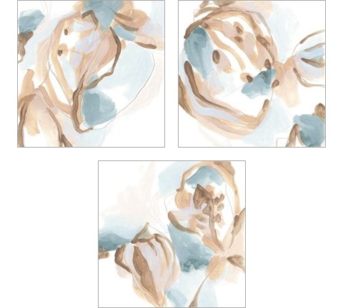 Abstracted Shells 3 Piece Art Print Set by June Erica Vess